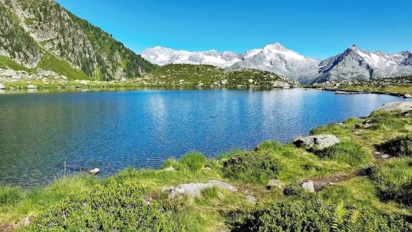 Bild 1 von 7: .
