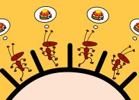 TOM und das Erdbeermarmeladebrot mit Honig