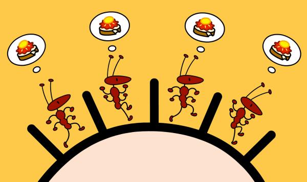 Bild 1 von 2: TOM und die Ameisen.