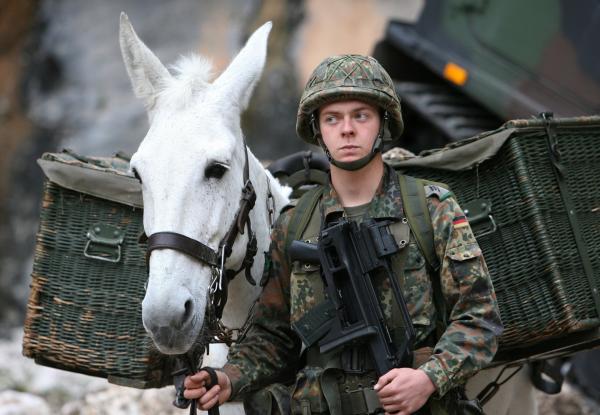 Tiere im Krieg - Spione, Boten und Kämpfer
