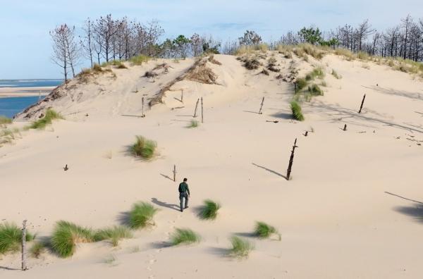 Bild 1 von 4: Im Golf von Biskaya bewegt sich die höchste Düne Europas, die Düne von Pilat, unter dem Einfluss von Wind und Gezeiten um einen bis fünf Meter pro Jahr.