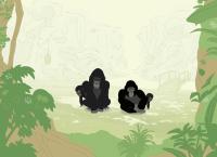 PEEKs ZOO - Von Affen, Giraffen & Co.