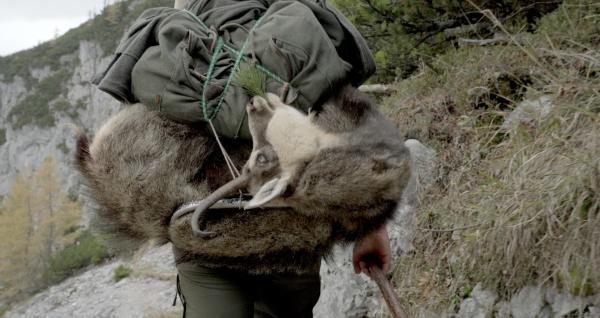 Bild 1 von 15: Der Jäger und die Jägerin als Grenzgänger und Vermittler zwischen rauer Natur und kulturellem Erbe sind dafür exemplarische Figuren. Im Bild: Toni Wintersteller mit toter Gams.