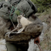 Wild - auf Jagd im Gebirge