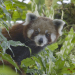 Abenteuer Wildnis