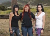 Pitbulls auf Bewährung