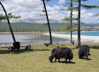 Die Mongolei - Im Land der Nomaden