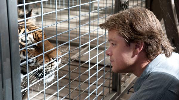 Bild 1 von 5: Benjamin (Matt Damon) Auge um Auge mit einem Tiger