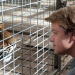 Wir kaufen einen Zoo