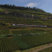 Traumhafte Bahnstrecken der Schweiz: Vom Dreiseenland durch das Lavaux bis nach Genf