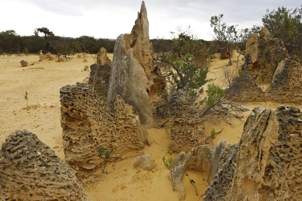 Bild 1 von 7: Die Pinnacles: Beeindruckende Kalksteinformationen in der Wüste von Westaustralien.