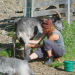 Wilde Schweiz II: Das Calancatal