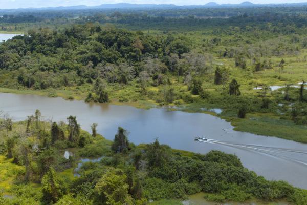 Bild 1 von 3: Zusammen mit den Einheimischen wird der Wasserfarn abgetragen und zu Holzkohle verarbeitet, entweder für den Eigenbedarf oder den Verkauf.