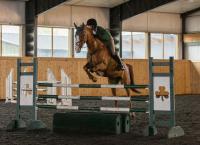 Heartland - Paradies für Pferde