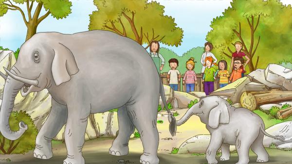 Bild 1 von 3: Ein Ausflugstag im Kindergarten führt Conni in den Zoo. Dort lernt Conni Wissenswertes über große und kleine Tiere.
