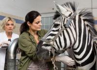 Tierärztin Dr. Mertens