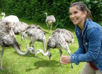 Anna und die wilden Tiere