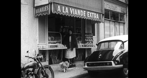 Bild 1 von 2: Der kleine Metzgerhund hat ein Luxusleben.