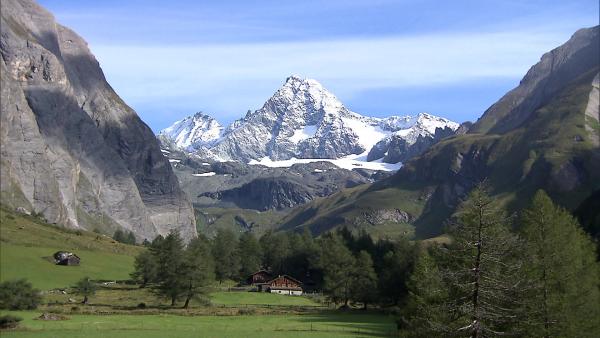 Bild 1 von 1: .