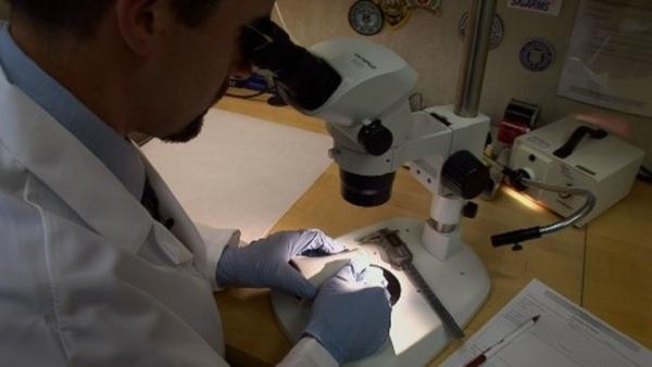 Bild 1 von 5: Spurensuche im Labor: Können moderne Forschungsmethoden neue Fakten zur neolithischen Gesellschaft liefern?