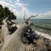 Wilde Ostsee
