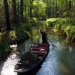 Der Spreewald von oben