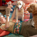 Wuffel, der Wunderhund