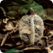 Planet Erde