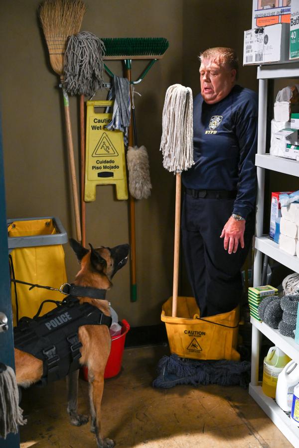 Bild 1 von 14: Scully (Joel McKinnon Miller)