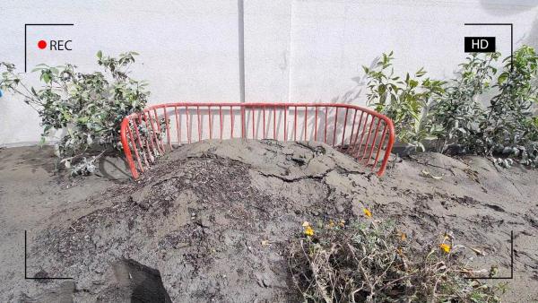 Bild 1 von 7: Im Bild: Gartenbank in Kritzendorf 2024.