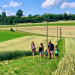 Preiswert, nützlich, gut?