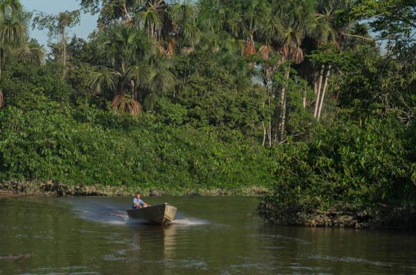 Bild 1 von 3: Der französische Romanautor Jean Galmot setzte sich Zeit seines Lebens für den Amazonas-Regenwald und dessen Ureinwohner ein. Heute ist er in Französisch-Guayana eine Legende!