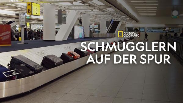 Bild 1 von 8: (1. Staffel)