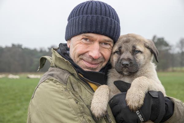 Bild 1 von 6: Die Kangalwelpen lernen von ihren ausgewachsenen Artgenossen, wie sie Schafe vor Feinden wie Wölfen schützen. Dirk Steffens ist dabei, wenn die jungen Hunde ihre Schützlinge kennenlernen.