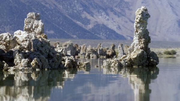 Bild 1 von 15: Bizarre Kalktufftürme haben sich im Wasser des Monolakes gebildet. Der Natronsee ist sehr alkalisch aber auch stark salzhaltig.