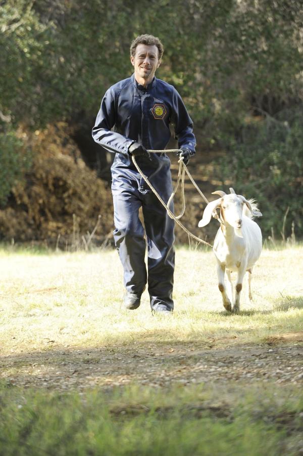 Bild 1 von 10: Hodgins (TJ Thyne)