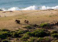 Wildes Sri Lanka