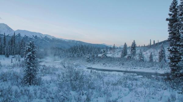 Bild 1 von 3: .