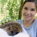 Anna und die wilden Tiere
