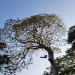 360° Reportage