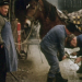 100 Jahre Landwirtschaft im Südwesten