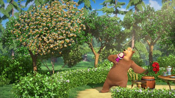 Bild 1 von 4: Der Bienenschwarm ist außer Rand und Band. Doch der Bär weiß, was zu tun ist.