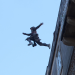 Assassin's Creed