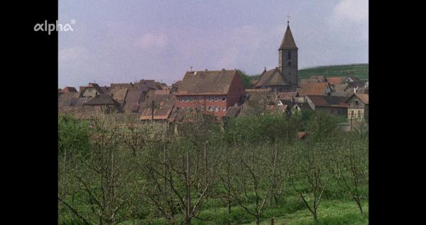 Bild 1 von 4: Der Kaiserstuhl 1970: Burkheim.