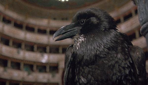Terror in der Oper