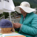 Bild 16