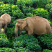 Asien: Wilde Berge