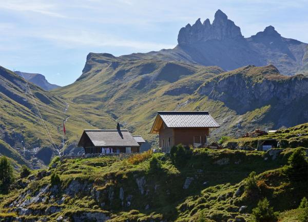 Bild 1 von 6: .