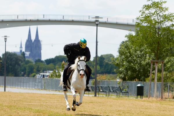 Bild 1 von 11: 