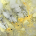 Im Land der Feuerberge